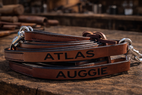 Leather Leash
