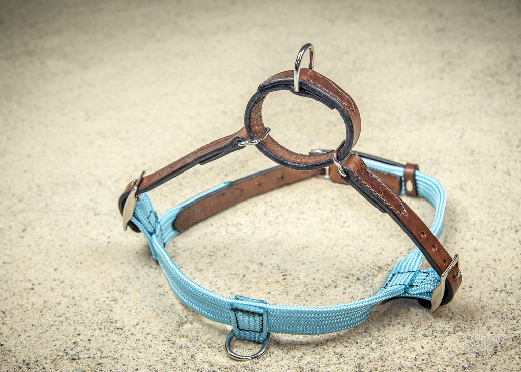 coast-line-2 - Rope & Leather Harness - Harness